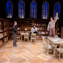 Review: THE ALLY at Theater Wit