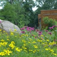 The Irvington Shakespeare Company Will Bring TWELFTH NIGHT to Irvington Theater