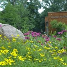 The Irvington Shakespeare Company Will Bring TWELFTH NIGHT to Irvington Theater