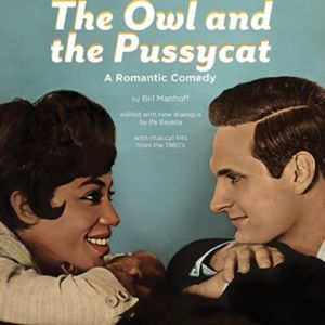 Brian Dietzen and Diona Reasonove to Star in THE OWL AND THE PUSSYCAT Reading at Fountain Theatre