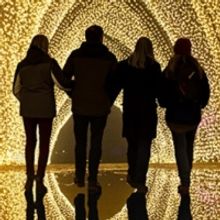 Houston Botanic Garden Presents LIGHTSCAPE This Month