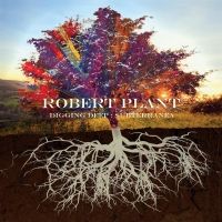 Robert Plant Unveils New DIGGING DEEP Anthology