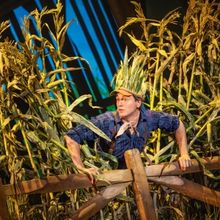 Tickets for SHUCKED at Wharton Center Now on Sale