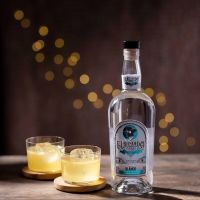 Break Out EL BANDIDO YANKEE-February 22 is National Margarita Day