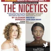 Martha's Vineyard Playhouse Presents THE NICETIES Live Online With Amy Brenneman