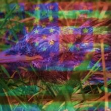 CCA Wattis Institute Presents JEFFREY GIBSON: NOTHING IS ETERNAL