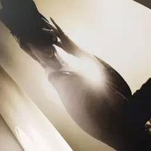 REVIEW: THE GOLDEN AGE OF BROADWAY is Sydney Philharmonia Choirs' Contribution To The