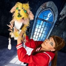 Hell in a Handbag Productions Announces 2022-23 Season Featuring FRANKENSTREISAND Wor