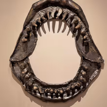 TheaterWorks Hartford to Present THE FILING CABINET Gallery Exhibition