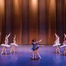 THE NUTCRACKER, THE SLEEPING BEAUTY and More Set for Olympic Ballet Theatre 2026-27 Season