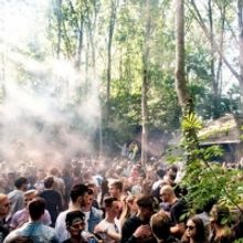 Forest Festival Planet Paradigm Announces Full Line-Up For 2020