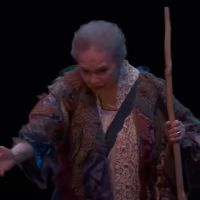 VIDEO: Watch Stratford Festival's THE TEMPEST; Now Streaming!