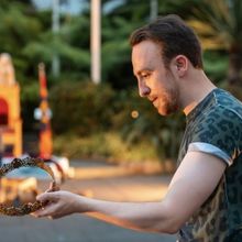 Review: HENRY VI, Bard in the Botanics