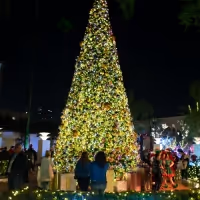LA'S Union Station to Launch Holiday Season With Live Performances, Tree Lighting &…