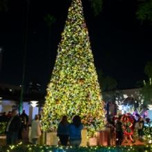 LA'S Union Station to Launch Holiday Season With Live Performances, Tree Lighting & M