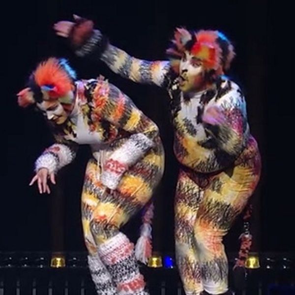 Video: Alex Brightman & Sara Chase Perform 'Mungojerrie and Rumpleteazer' From CATS at MISCAST26 - Broadway Theater Video