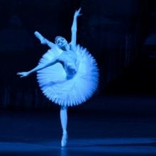 Bolshoi Ballet June Performances At The Auditorium Theatre Postponed