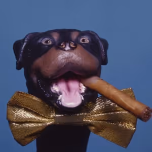 Triumph The Insult Comic Dog Comes To The Den Theatre