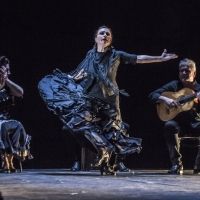 BWW Review: NOCHE FLAMENCA'S 'ENTRE TU Y YO' at Z Space Showcases Legendary Dancer…