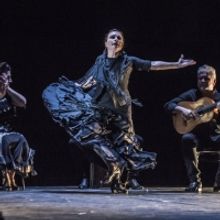 BWW Review: NOCHE FLAMENCA'S 'ENTRE TU Y YO' at Z Space Showcases Legendary Dancer So