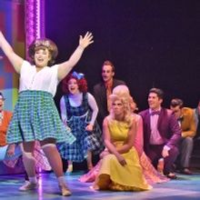 BWW Review: HAIRSPRAY: Teasing Its Way onto the Stage of Beef & Boards