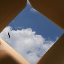 OU OUTSIDE THE BOX An Outdoor Performing Arts Festival, Coming To OU Campus