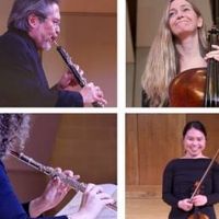 Illinois Philharmonic's First-Ever Solo Concert Series Streams Through March 31
