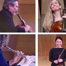 Illinois Philharmonic's First-Ever Solo Concert Series Streams Through March 31