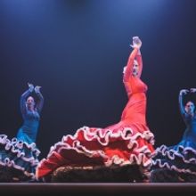 James Grace and Carli Olivier Bring ROMANZA to Montecasino This Month