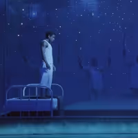 Video: Get a First Look at LIFE OF PI on Broadway Video