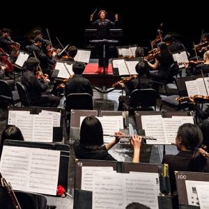 Wharton Arts to Present A CONCERT FOR PEACE With Violins of Hope