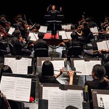 Wharton Arts to Present A CONCERT FOR PEACE With Violins of Hope