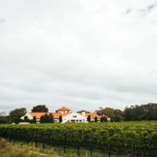 LONG ISLAND WINES-Get to Know the Region and Selections