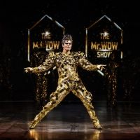 Cirque Du Soleil VOLTA Equality Night In Los Angeles Feb 13