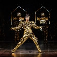 Cirque Du Soleil VOLTA Equality Night In Los Angeles Feb 13