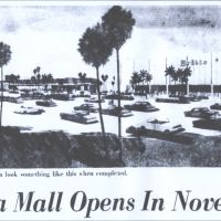 The Schmidt Boca Raton History Museum Announces TOWN TALK and GOLDEN JUBILEE Events…