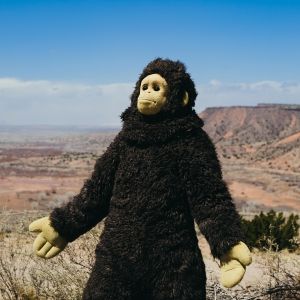 Nina Conti’s SUNLIGHT Sets U.S. Theatrical Release for June