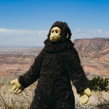 Nina Conti’s SUNLIGHT Sets U.S. Theatrical Release for June