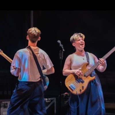 Review: TWELFTH NIGHT, Shakespeare North Playhouse