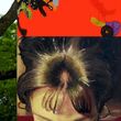 UPSTATE ART WEEKEND: OPEN HOURS to Return to Kaatsbaan Cultural Park Photo