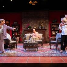 Review: Theatre Raleigh's VANYA AND SONIA AND MASHA AND SPIKE