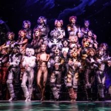 Broadway's CATS On Sale At Hobby Center, August 2