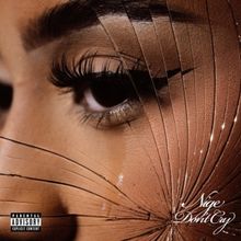 Rising Artist Nige Releases 'Don't Cry'
