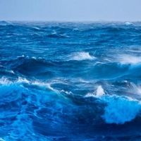 Meira Warshauer's 'Ocean Calling Trilogy' To Be Featured In February And March Lectur Interview