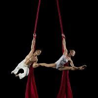 Plano Symphony Orchestra to Present CIRQUE DE LA SYMPHONIE Interview