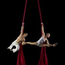 Plano Symphony Orchestra to Present CIRQUE DE LA SYMPHONIE