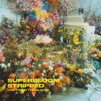 Misterwives Share 'Superbloom Stripped'
