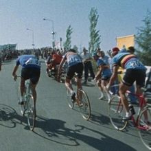 Cinema At L'Alliance New York to Present Screening Of HEAD OF THE PACK