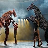 WAR HORSE Will Come to Sydney's Lyric Theatre