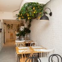 Review: OL'DAYS in NoMad Charms and Delights with Fresh Flavors